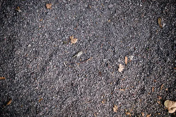 Gråkornig Sandmark Med Löv Bakgrund Textur — Stockfoto