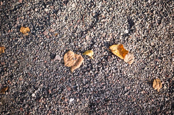 Gray Sandy Stone Ground Autumn Leaves Background Texture — Stock Photo, Image