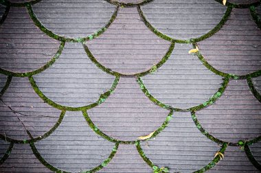 Dekoratif parke döşeme kaldırımda. arka plan, doku, desen.