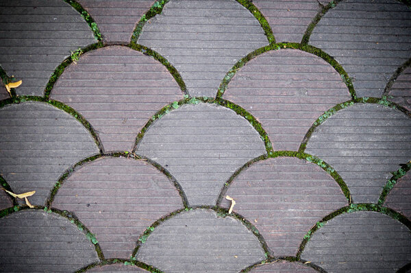 Decorative paving tile on the sidewalk. background, texture, pattern.