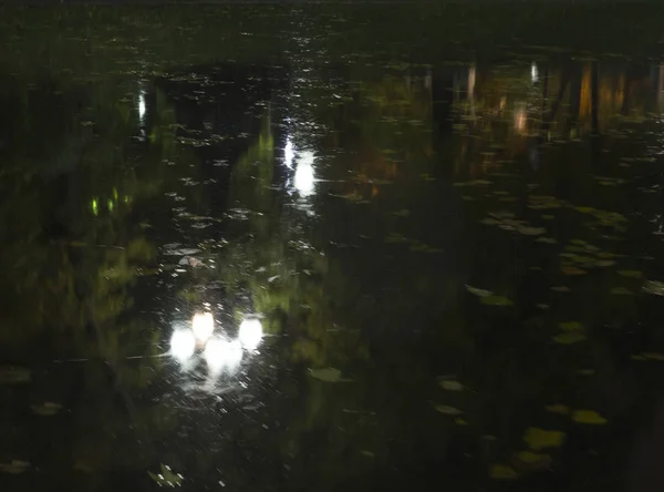 Dammen Parken Vid Höstnatt Bakgrund Natur — Stockfoto