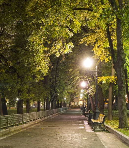 park alley after rain at autumn night. background