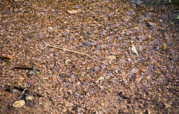 Текстура Воды Мелкой Реке Песчаным Дном Озил Бэкграунд Природа — стоковое фото