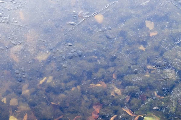 Sottile Ghiaccio Trasparente Sul Lago Fine Autunno Texture Sfondo — Foto Stock
