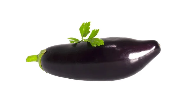 Lila Aubergine Isolerad Vit Bakgrund Vegetabiliska Objekt — Stockfoto