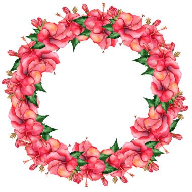 Suluboya el yapımı çiçek başlığında beyaz arka plan üzerinde izole tropikal tarzı. Arka plan, düğün davetiyesi, posterler, Tarih veya tebrik tasarımını Kaydet olarak kullanabilirsiniz.