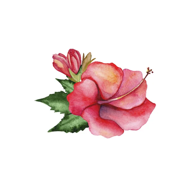Akvarell festett virágos banner trópusi stílusban, elszigetelt fehér background. Használhatja, mint a háttér, esküvői meghívó, plakát, kivéve a dátum vagy az üdvözlés. — Stock Fotó
