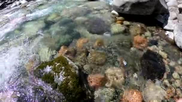 Vatten Den Rasande Floden Vacker Naturlig Bakgrund Stenar Och Vatten — Stockvideo