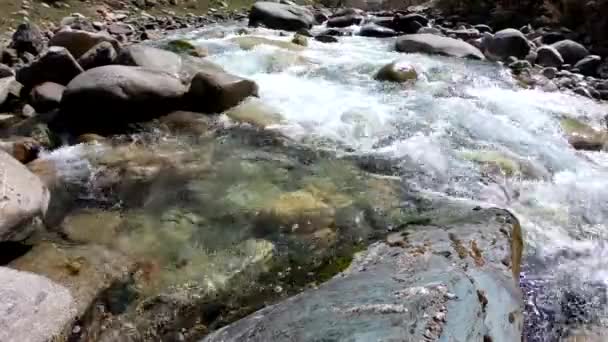 Wasser Reißenden Fluss Des Berges Schöner Natürlicher Hintergrund Aus Steinen — Stockvideo