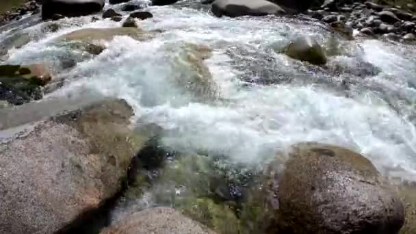 山の荒れ狂う川の水 石や水の美しい自然の背景 — ストック動画
