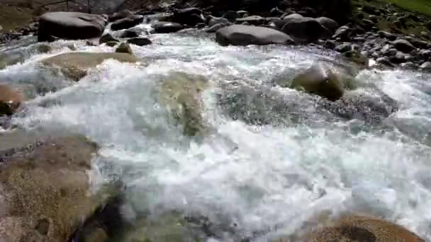 Water Woedende Rivier Prachtige Natuurlijke Achtergrond Van Stenen Water — Stockvideo