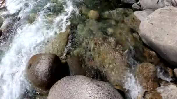 Eau Dans Rivière Montagneuse Beau Fond Naturel Pierres Eau — Video