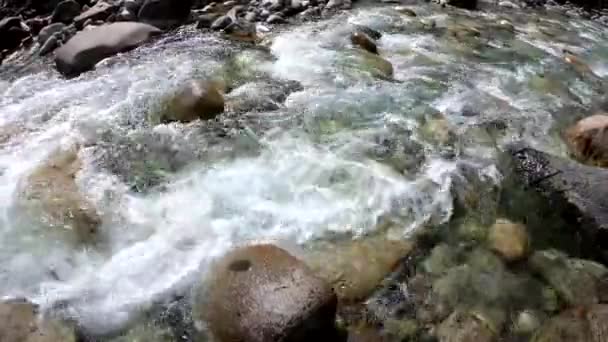 Вода Горах Бушует Река Красивый Природный Фон Камней Воды — стоковое видео