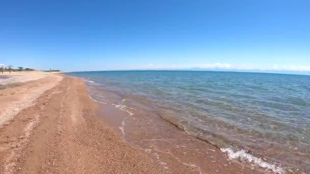 青い透明な水の質感 海岸波線ときれいな砂 太陽に照らされた海と海の背景 自然背景 — ストック動画