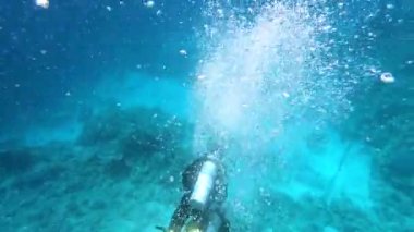 Kızıl Deniz 'in faunası. Resimli mercan resifi boyunca güzel gümüş balıklar yüzer. Açık mavi sudaki balıkların dinamik videosu. Su altı dünyasının güzel arka planı.