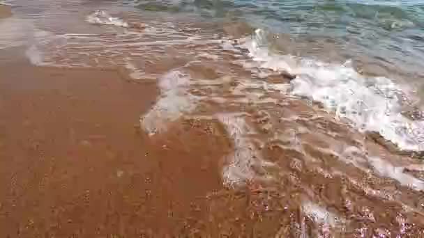 Καθαρό Νερό Υποβρύχιο Φόντο Αμμώδης Θάλασσα Πυθμένα — Αρχείο Βίντεο