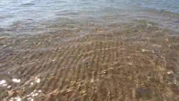 De l'eau claire. fond sous-marin avec fond marin sablonneux .