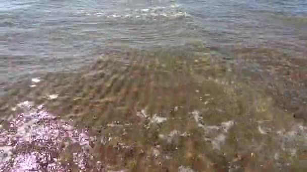 Чистая Вода Подводный Фон Песчаным Морским Дном — стоковое видео