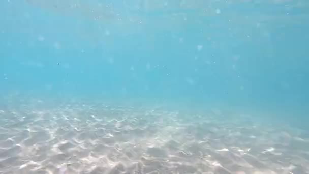 Čistou Vodu Podmořské Pozadí Písčitým Mořským Dnem — Stock video