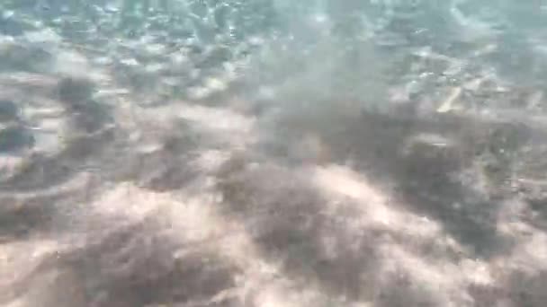 Helder Water Onderwater Achtergrond Met Zandzee Bodem — Stockvideo