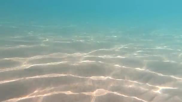 Чиста Вода Підводний Фон Дном Піщаного Моря — стокове відео