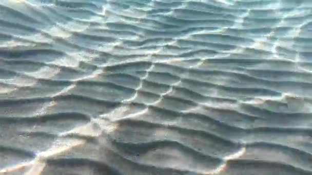 Temiz Kumlu Deniz Alt Ile Sualtı Arka Plan — Stok video