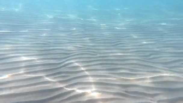 Agua Clara Fondo Submarino Con Fondo Marino Arenoso — Vídeos de Stock