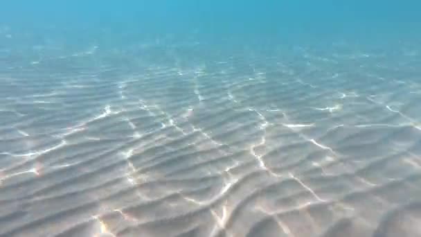 Clear Water Underwater Background Sandy Sea Bottom — Stock Video