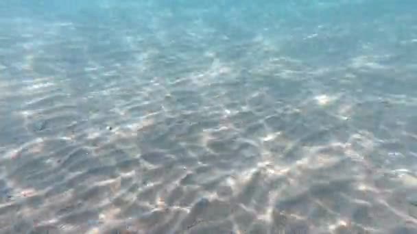 Clear Water Underwater Background Sandy Sea Bottom — Stock Video