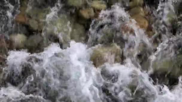 화있는 산속의 아름다운 자연적 과빠른 — 비디오