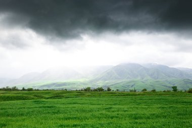 Manzara yaz ve bahar. Yuvarlak tepelerde parlak yeşil çimenler. Yağmurdan önce bulutlar. Gökyüzündeki bulutlar.