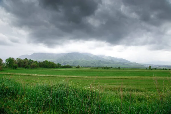 Verão Paisagem Primavera Grama Verde Brilhante Nas Colinas Redondas Nuvens — Fotografia de Stock