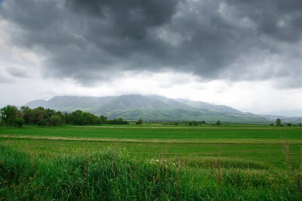 Vackert Vår Och Sommarlandskap Gröna Kullar Höga Snöiga Berg Vårblommande — Stockfoto