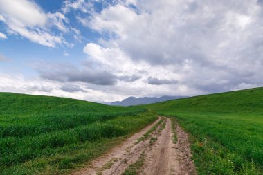 Güzel bahar ve yaz manzarası. Yeşil tepelerin arasındaki dağ yolu. Bereketli yeşil tepeler, yüksek dağlar. Yaz doğal arka plan.
