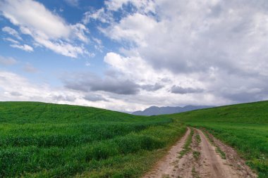 Güzel bahar ve yaz manzarası. Yeşil tepelerin arasındaki dağ yolu. Bereketli yeşil tepeler, yüksek dağlar. Yaz doğal arka plan.