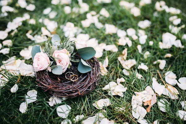 Обручальные кольца на траве и лепестки цветов — стоковое фото