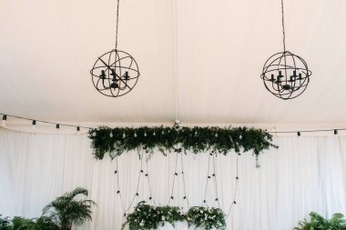 Alan yeşil düğün tablo, kesimine ve otlar ile dekore edilmiş