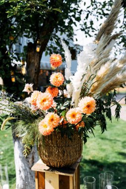 Pampas grass and chrysanthemums