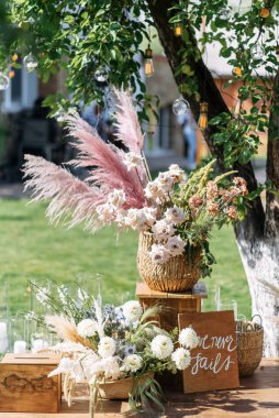 Kasımpatı ve pampa kompozisyonu