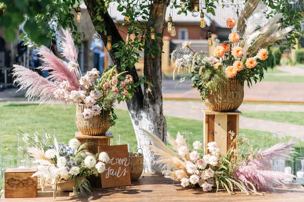 Samenstelling van chrysanten, pampasgras — Stockfoto