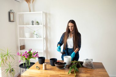 Ev bahçesi konsepti, kadın ev bitkileri.