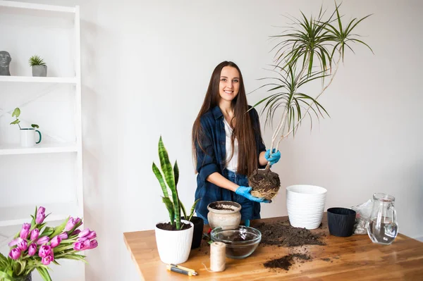 Trädgårdskoncept, kvinnliga växter krukväxter — Stockfoto