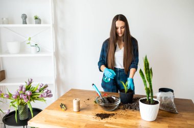 Ev bahçesi konsepti, kadın ev bitkileri.