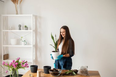 Ev bahçesi konsepti, kadın ev bitkileri.