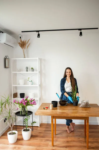 Haus-Garten-Konzept: Frau pflanzt Zimmerpflanzen — Stockfoto