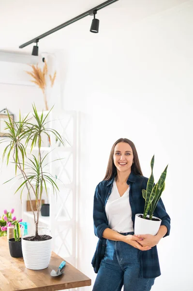 Young woman holds a flower pot in her hands — ストック写真