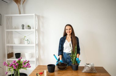 Ev bahçesi konsepti, kadın ev bitkileri.