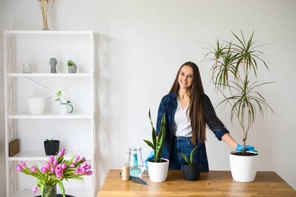 ハウスガーデニングのコンセプト、女性の植物 — ストック写真