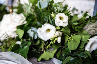 Festive banquet decorated with green branches