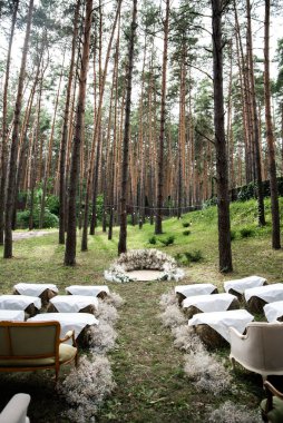 Outdoor wedding in rustic style,pine forest around